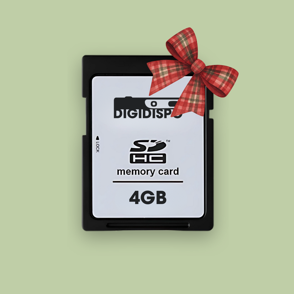 Carte SD - 4 Go (plus de 1000 photos)