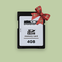 SD Card - 4GB (1000+ pics)